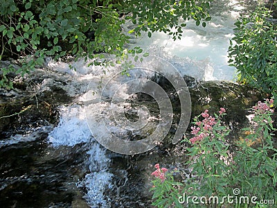 Source of the river Resava in Lisine, Serbia Stock Photo