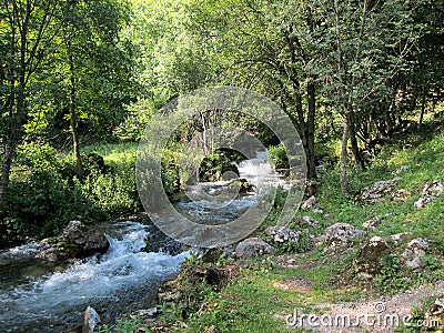 Source of the river Resava in Lisine, Serbia Stock Photo