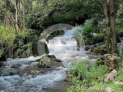 Source of the river Resava in Lisine, Serbia Stock Photo