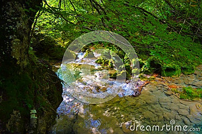 The source of Urederra or the route of the waterfalls of Baquedano, in Navarre, Spain. Stock Photo