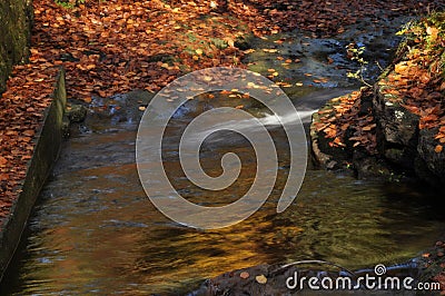 Source Vistula. Crystalline stream, clean water Stock Photo