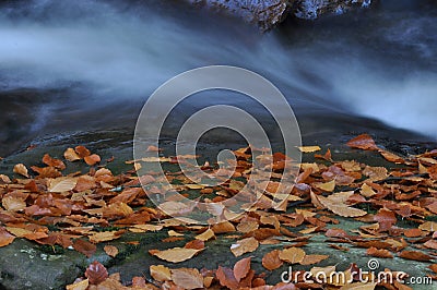 Source Vistula. Crystalline stream, clean water and waterfall. Rocks. Stock Photo
