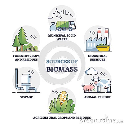 Sources of biomass energy as alternative power in outline collection diagram Vector Illustration