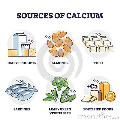 Sources of calcium and natural rich Ca level food products outline diagram Vector Illustration