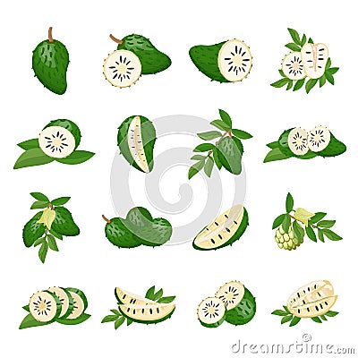 Soursop icons set cartoon vector. Muricata fruit Vector Illustration