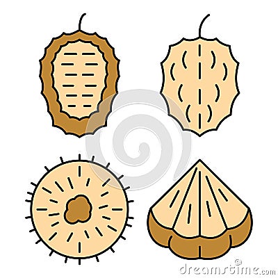 Soursop icons set vector color Vector Illustration