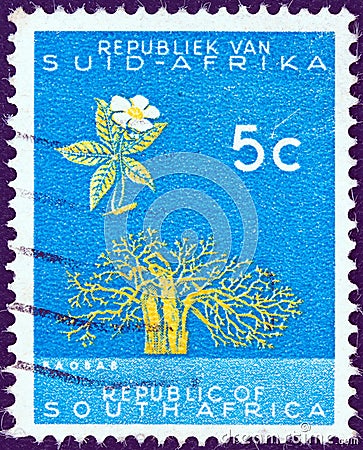 SOUTH AFRICA - CIRCA 1961: A stamp printed in South Africa from the `Republic` issue shows a Baobab tree, circa 1961. Editorial Stock Photo