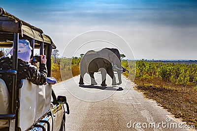Kruger National Park, South Africa Stock Photo