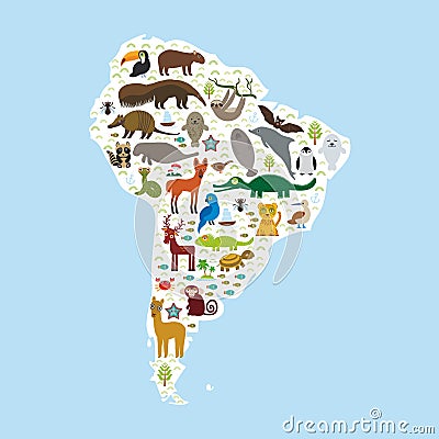 South America sloth anteater toucan lama bat fur seal armadillo boa manatee monkey dolphin Maned wolf raccoon jaguar Hyacinth maca Vector Illustration