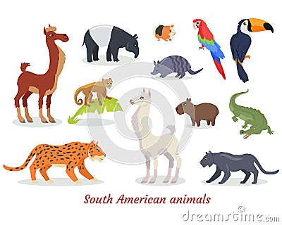 South American Animals Cartoon Vectors Set Vector Illustration