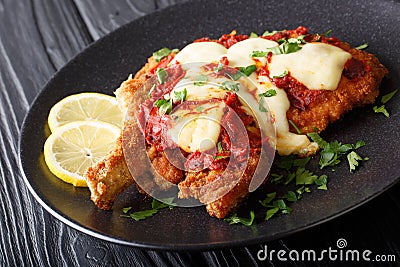 South American food: Milanesa napolitana Beef cutlet in breadcrumbs with mozzarella cheese and tomato sauce close-up. horizontal Stock Photo