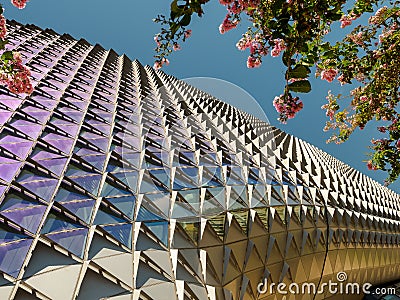 South Australian Health Ministry and Research Center Editorial Stock Photo