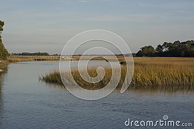 South Carolina Marsh Stock Photo