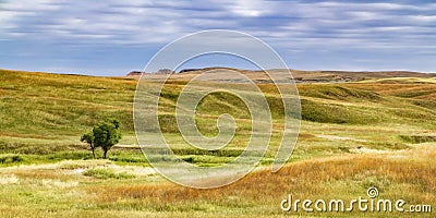 South Dakota Grassland Stock Photo