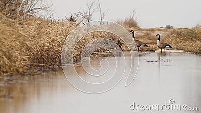 South Dakota Thunder Storm Stock Photo