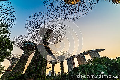 Singapore Famous destinations Garden By The Bay tourism travel tourist attraction Editorial Stock Photo