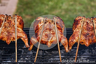 Street food Asian. Grilled chicken. Grilled BBQ Chicken. Barbecued chicken on charcoal stove Stock Photo