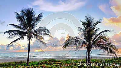 A South Florida Beach at Sunset brings out the calm serenity out the sand & surf. Stock Photo