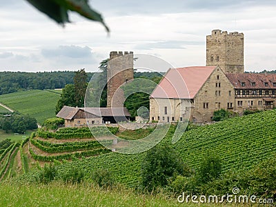 South german medieval castle in the middle of vineyards Stock Photo