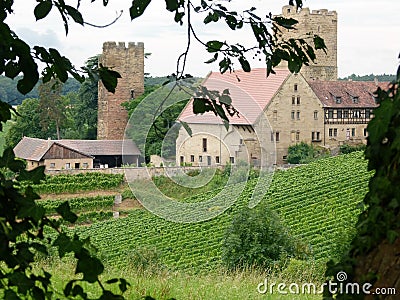 South german medieval castle in the middle of vineyards 2 Stock Photo