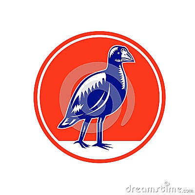 South Island Takahe Circle Woodcut Vector Illustration