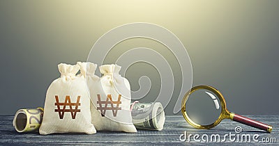 South korean won money bags and magnifying glass. Finding financial resources, fund projects. Budget revision Stock Photo