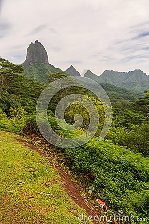 View from Belvedere Lookout Moorea, French Polynesia Stock Photo