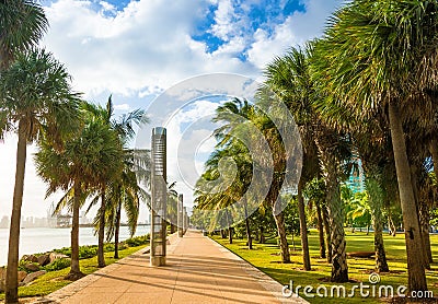 South Pointe Park in Miami Beach Stock Photo