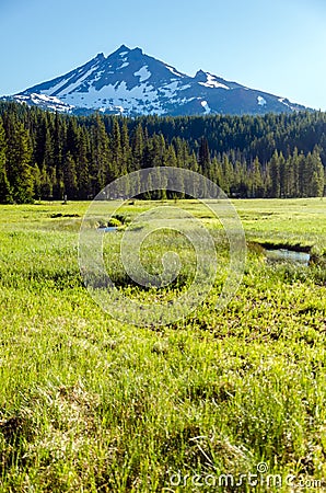South Sister and Meadow Stock Photo