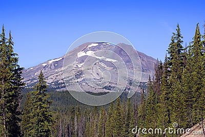 South Sister Mountain through the Trees Stock Photo