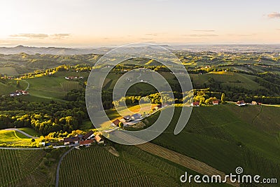 South styria vineyards aerial view at grape hills. Wine road in summer Stock Photo