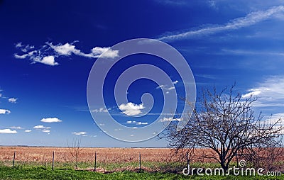 South Texas Prairie Stock Photo