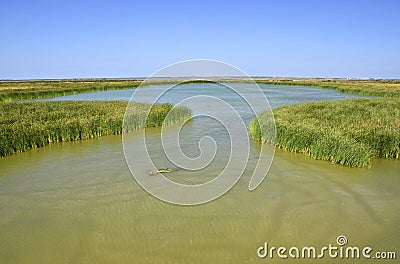 South Texas Wetlands Stock Photo