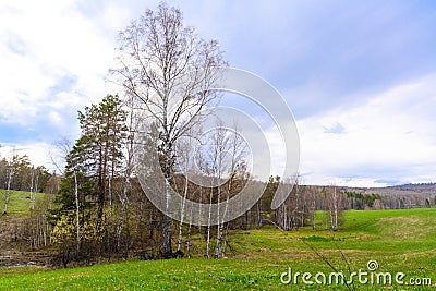 South Ural forest with a unique landscape, vegetation and diversity of nature. Stock Photo