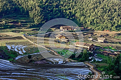 Pastoral scenery Stock Photo