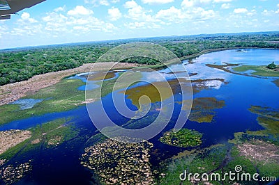 Southern Pantanal Stock Photo