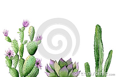 Southwest plants set. Blooming pink cactus, succulent and green cactus. Watercolour illustration isolated on white Cartoon Illustration