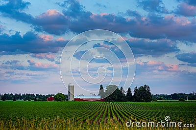 Southwestern Ontario Farm at Sunset Stock Photo