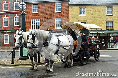 Shire Horses and Brewery Dray parked in market square. Editorial Stock Photo