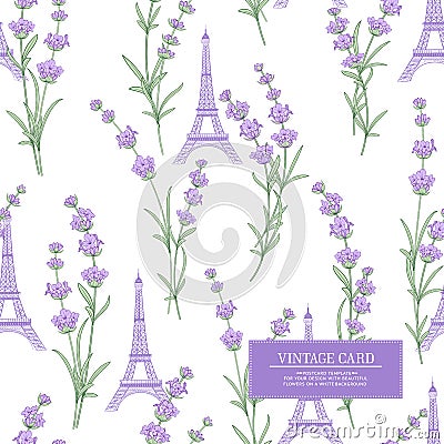 Souvenir card with lavender flowers. Vector Illustration