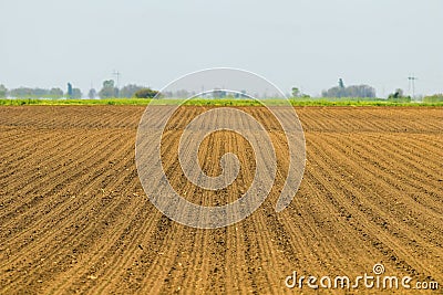 Sowed field. Agricultural fields in spring. Sowing crops. Stock Photo