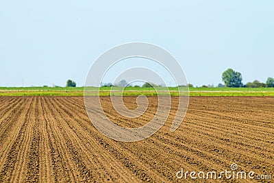 Sowed field. Agricultural fields in spring. Sowing crops. Stock Photo