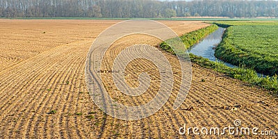 Sown field in the spring season Stock Photo