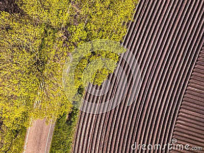 Sown potatoe field aerial Stock Photo