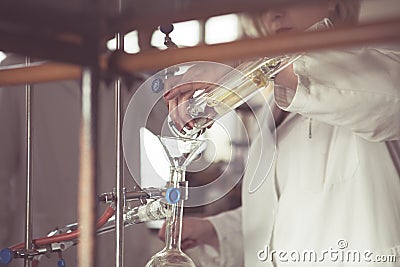 Soxhlet extractor for extraction essential oils.Transporting liquid from soxhlet extractor to distillation apparatus.Demonstration Stock Photo