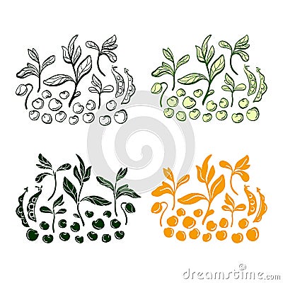 Soy bean. Vector set. Natural protein food Vector Illustration