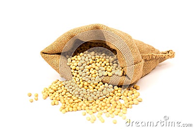 Soy beans Stock Photo