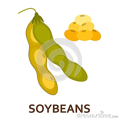 Soy beans color flat icon Vector Illustration