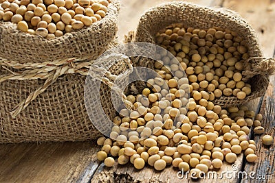 Soy beans Stock Photo