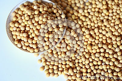 Soy beans on plate Stock Photo